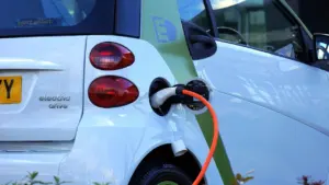 carbon footprint of a person